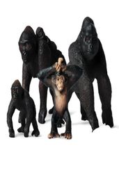 Simulación Little Gorilla Action Figuras Educación realista Modelo de animales salvajes Modelo de juguete Regalo lindos Toys1481165