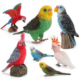 Simulation Parrot Bird Animal Model Miniature Figurines Ornement Statue Plancheur Planture Home Decoration Fairy Garden Accessoires 240523