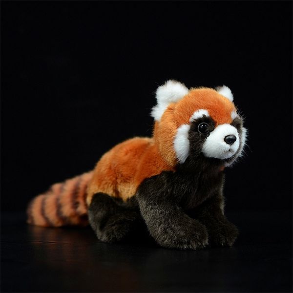 Simulación panda rojo juguetes de peluche Ailurus fulgens Lesser Lovely Cute Dolls Soft Kawaii Animals Kids Gift Collection 210728