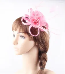 Sinamay – pinces à cheveux fascinateurs roses roses, couvre-chef en plumes sur peignes pour femmes, accessoire royal pour fête de mariage, église