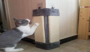 Sisal Funny Cat Scratch Toy plegable Cat Cattando Post Training Sofá Sofá Esquina de la pared Scratcher Muebles Protección de muebles3811127