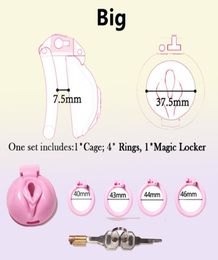 Sissy rose chatte vaginale coq cage petits dispositifs avec 4 anneaux de pénis serrure d'esclave sextoy pour l'homme 220821818805