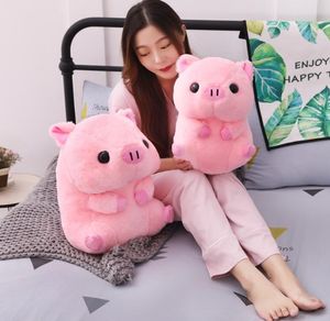 Zittend Roze Varken Lucky Piggy Knuffeldier Pop Schattige Knuffel Kinderen Liefhebbers Valentijnsdag Cadeau 40cm LJ2011266047773