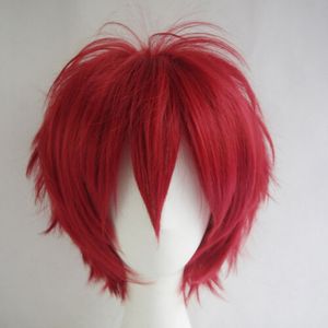 Taille: réglable Sélectionnez la couleur et le style 1pc Multi Color Short Straight Hair Wig Anime Party Cosplay Vente complète Perruques 30cm