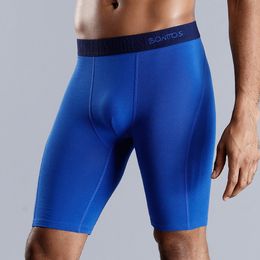 Skarr Long Boxer Long Man Underwear Men Boxer Shorts Underware Mens Boxers Boxers Algodón Sexy BoxerShort Male Gay Gay