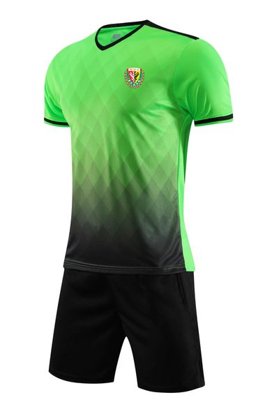 Slask Wroclaw, Kits de ocio para hombres y niños, chándales para el hogar, camisa deportiva de manga corta de secado rápido para hombres, camisetas deportivas para exteriores, pantalones cortos superiores