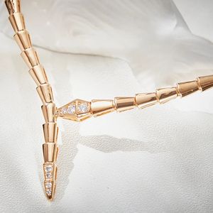 Slanke klassieke mode zirkoon diamantsteen slangvormige choker ketting dames luxe ontwerper geel/rosé goud vergulde sieraden 240511