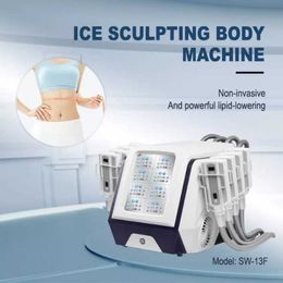 Slimming Machine Criolipolisis Cryotherapy Lipolaser Not Vacuum Machine Body Fat Greeze Tous les coussinets de cryo portable peuvent fonctionner à l'époque