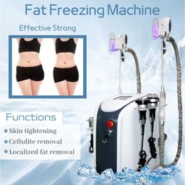 Machine de déchaînement cryolipolyse Fat Freeze Slim Machine Retrait de cellulite