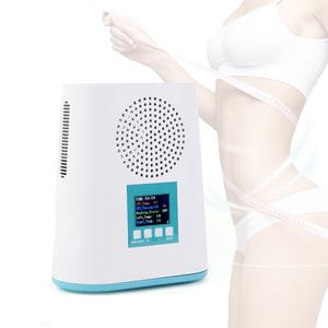 Slankmachine Portable Mini Cool Tech Cryolipolyse Vet Freezing Slim Machine Vacuüm Cryotherapie Cryo Beauty Equipment Home Use