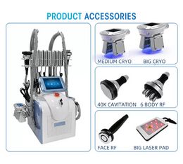 Machine amincissante professionnelle Zerona Lipo Laser Cryolipolysis Ems Cavitation Slim Machine Cryo poignées radiofréquence pour l'élimination des rides M