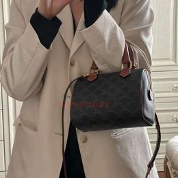 Sling Designer Bag Mini Boston Dames Triumphal Bag Ava High Light Luxury Celies Kussen Kleine veelzijdige crossbody handtas