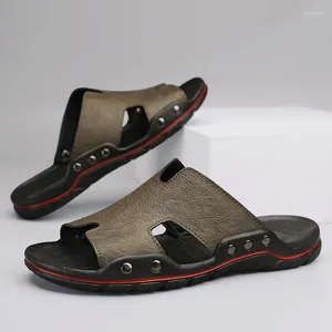 Zapatillas 2024 llegada sandalias de playa casuales zapatos de verano para hombres zapatos transpirables antideslizantes mulas masculinas zapatos de jardín