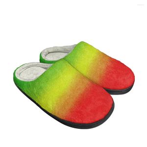 Slippers Mode Nieuwste Rasta Lion Custom Heren Dames Sandalen Pluche Casual Warme Schoenen Thermische Comfortabele Slipper