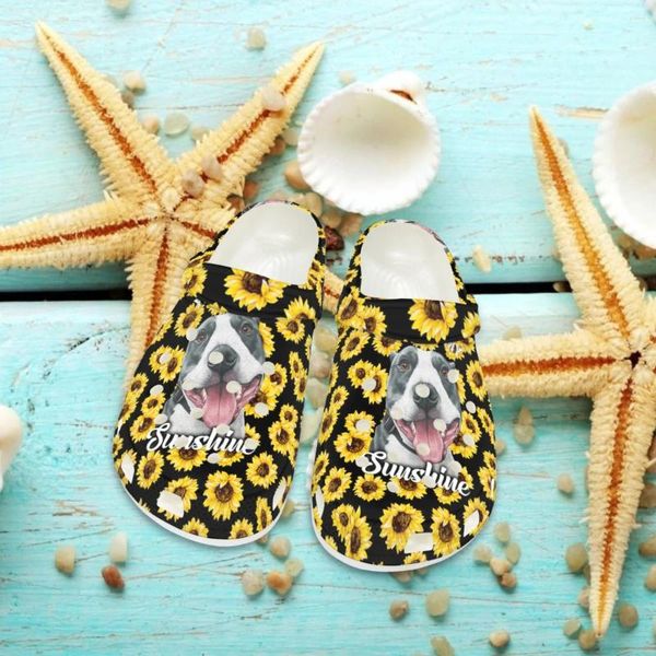 Pantoufles NOPERSONALITÉ MIGLE DOG SORFLOWER PERMEDS Mesdames Sunshine Letter Flat Tlides Adults Beach Sandals Fashion Arrivée