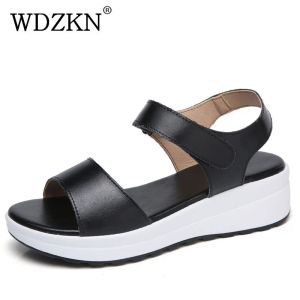 Slippers wdzkn 2022 femmes coins sandales véritables en cuir de l'été