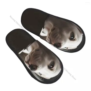 Pantoufles d'hiver pantoufle femme homme pelucheux portrait chaud du labrador retriever chiot house chaussures