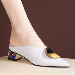 Slippers vrouwen schattig zoete beige puntige teen lederen lederen lente zomer vierkant hak schoenen dame cool pumps mulheres de salto alto e281