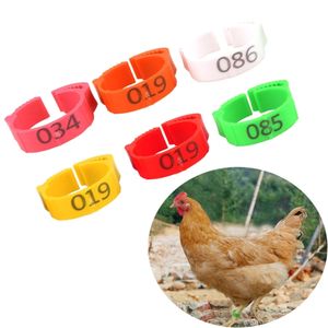 Fournitures pour petits animaux 100 pièces 6 couleurs réglables anneaux de pied de volaille diamètre intérieur taille 224 cm poulet flexible rétractable 230307