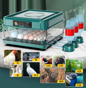 Fournitures pour petits animaux 220110V 612 Oeufs Incubateur Entièrement Automatique Tournant Éclosion Couveuse Ferme Oiseau Caille Poulet Volaille Hatcher Turner 230307