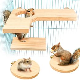 Benodigdheden voor kleine dieren 5 stks natuurlijk hout hamsterstandaard platform rat activiteit speeltuin chinchilla kooi accessoires met ringen voor vogels O11 21 230710