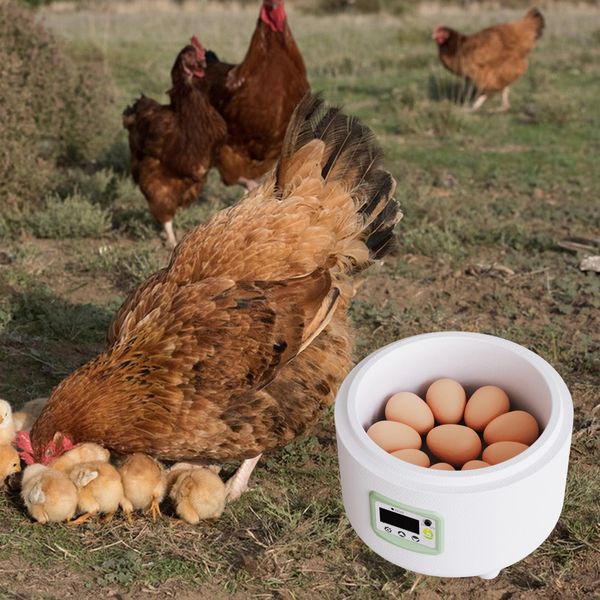 Benodigdheden voor kleine dieren 9 eieren Incubator LED-display Waterbed Ei-uitbroeder voor kippenboerderij Broederij Automatisch uitkomen Candler-lade 230307