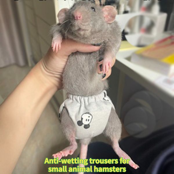 Suministros para animales pequeños Animales Ropa para hámster Pantalones a prueba de pañales para mascotas Pañales Ardillas Conejillos de Indias Ardillas Chinchillas 230925