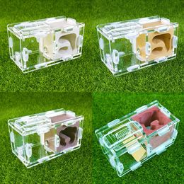 Fournitures pour petits animaux Beau terrarium pour reptiles Ferme de fourmis Acrylique et gypse Élevage de fourmis Passe-temps Fournitures pour insectes Cadeaux uniques 230719