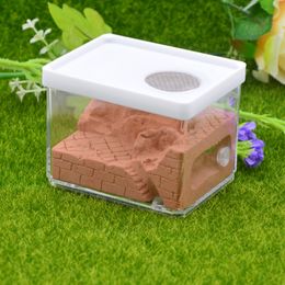 Suministros para animales pequeños Yeso ecológico Ant Farm Square Nest Paisajismo Casa Taller Pet Hill Insect Box 103 * 76 * 75 cm 230130