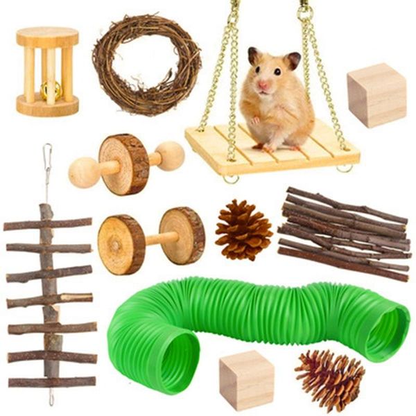 Suministro de animales pequeños juguetes de masticación de hámster, cuidados de cuidado de dientes de madera natural establecido para conejillo de indias, accesorios de ejercicio de rata-ABUX