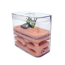 Kleine dieren levert een zeer hydraterende mierenboerderij Nest -insectenbox met werkplaats Pet Hill Castle Natural Ecological House 12*6*10cm 230130