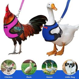 Suministros para animales pequeños Correa de arnés ajustable para mascotas para cachorros de pollo Chaleco transpirable cómodo Perros Pato Ganso Accesorios de entrenamiento 231017