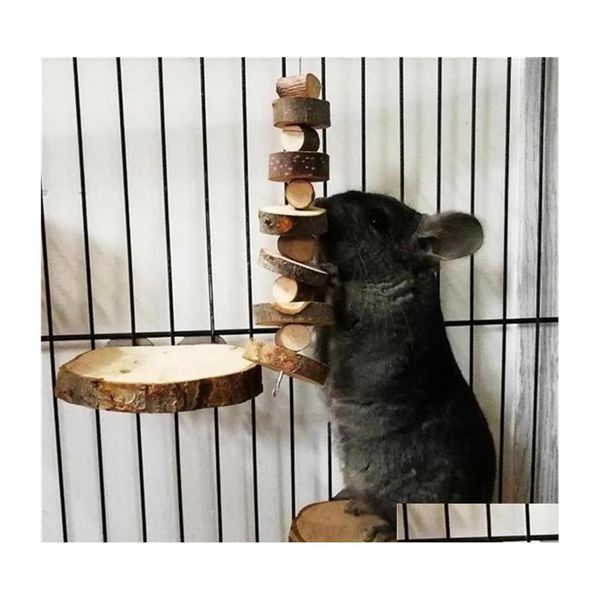 Petit Animal Fournitures Jouet À Mâcher Pour Animaux De Compagnie Pomme En Bois Dents De Meulage Jouets Pour Hamster Chinchilla Animaux Dents À Mâcher Cage Accessoires Dr Dhch8