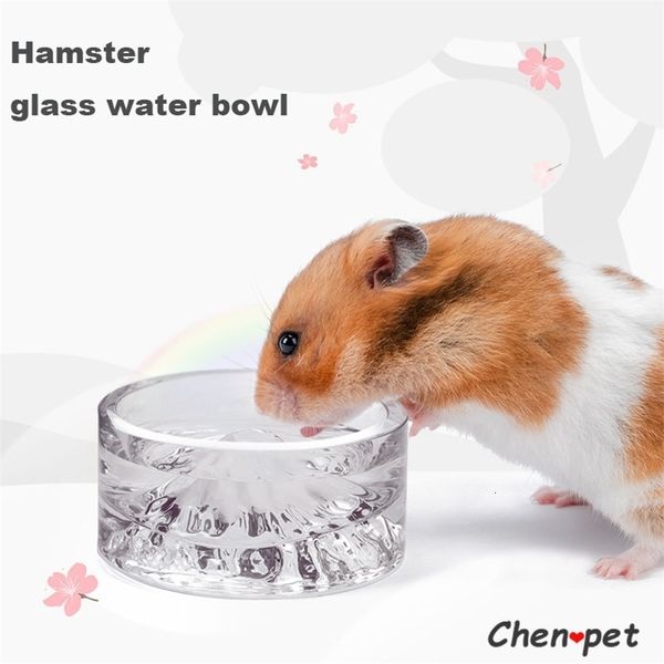 Fournitures pour petits animaux Conception spéciale Pet Fuji Mountain Hamster Distributeur d'eau en verre pour Chinchillas Cochon d'Inde Accessoires Bouteille 230925