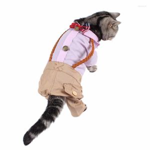 Kleine katten Kleding Kostuumbenodigdheden Kleding Jumpsuit voor huisdierenhonden Cat Accessoires Katten Kostuum Vestiti Gatto -kostuums