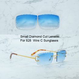 Petites lentilles coupées en diamant pour lunettes de soleil Carter 828 Wire C, lentille uniquement, couleur de la lentille uniquement, pièce de rechange, 2 trous