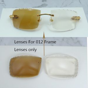 Small Diamond Cut Photochromic Lences Two Colors Lenses 4 Season Interchangeble Lens Color Change pour 012 Buffalo Horn and Wood Carter Sungass 1 Hole