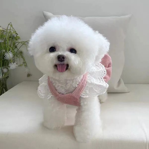 Petit chien princesse robe animal bowknot jupe automne hiver sweet chat chat mode manteau chaud chiot harnais chihuahua yorkshire 240422