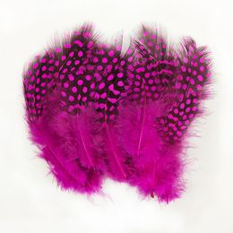 Petite plume!200pcs / lot 5-10 cm multicolore Guinée Pluches tachetées de poule en vrac Guinée, plumes artisanales,