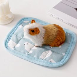 Petit animal de compagnie Mat de refroidisseur d'été glace fraîche fraîche