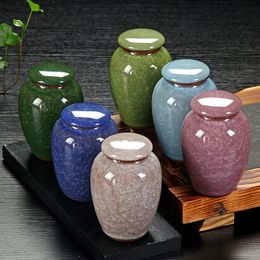 Petit animal de compagnie urn oiseau urnes urnes crémation cercuents vase funéraire Cat cendre pour cendres humaines faites de la céramique peinte à la main 231222