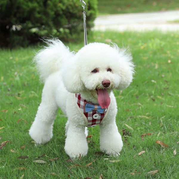 Ensemble de harnais pour petit chiot avec nœud papillon, harnais de smoking réglable en maille pour petit chien chaton, parfait pour les fêtes, les mariages, les vacances