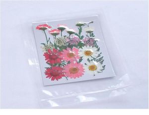 Petites plantes sèches de fleurs séchées pour la bougie Epoxy Resin Pendant Collier Bijoux Making Craft DIY A Jllkua4974164