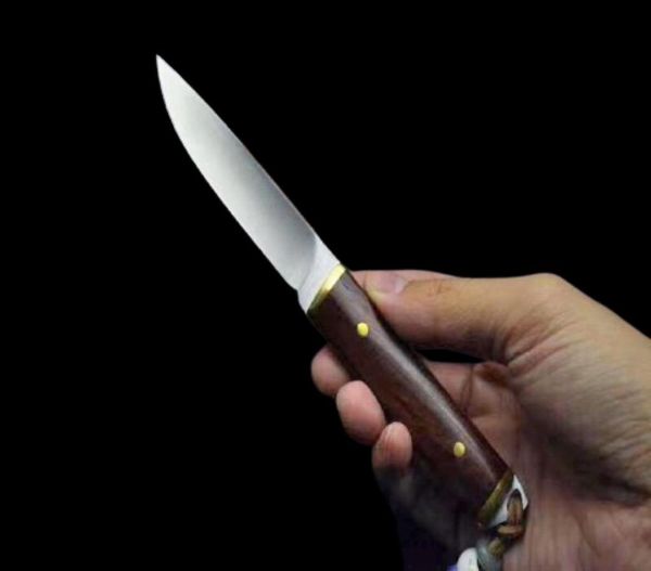 Petite survie couteau de chasse droit 440c lame en satin complète Tang Rosewood Handle Blades fixe couteaux avec gaine en cuir8908603