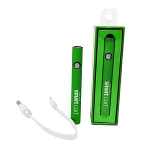 Stylo de préchauffage de batterie intelligent avec chargeur USB, kit de démarrage, tension variable, fil 510, 380 mAh, pour toutes les cartouches jetables 510, chariots intelligents