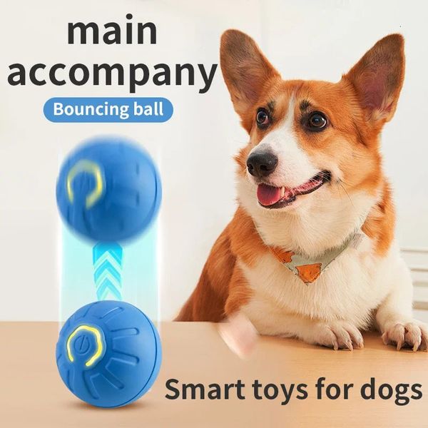 Balle de jouet intelligente pour chien, électronique interactive, mobile, USB, rebond automatique pour chiot, cadeau d'anniversaire, produit pour chat, 240314