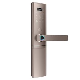 Smart Lock Fingerprint Lock Smart Home Keyless Intelligent dubbelzijdige biometrische vingerafdrukdeurslot 201013