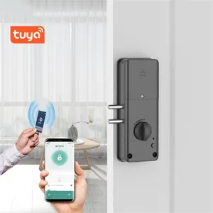 Serrure intelligente Tuya App Bluetooth intérieur Invisible pas de perçage pour porte en bois automatique carte IC moteur à Induction passerelle Wifi