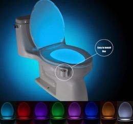 Smart Pir Motion Capteur de toilettes de toilette Lautres de nuit 816 couleurs rétro-éclairage imperméable pour toilette LED Luminaria Lamp WC Light9564313