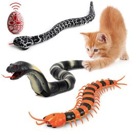 Détection intelligente de serpent interactif jouet de chat étronique de serpent étronique Cats youer USB RECHARAGET PET chaton de chien capteur de chien 240411